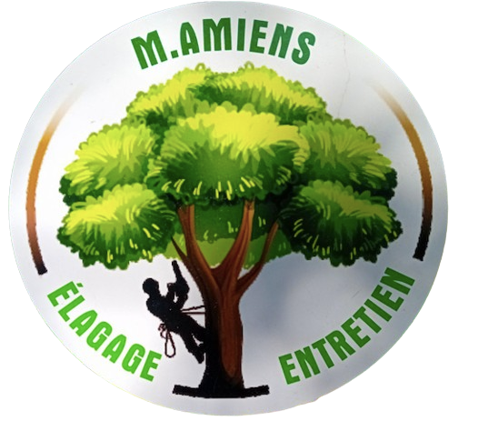 Amiens elagage